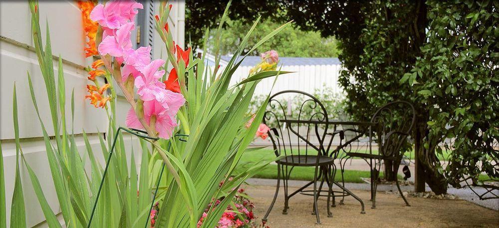נאפה Arbor Guest House מראה חיצוני תמונה