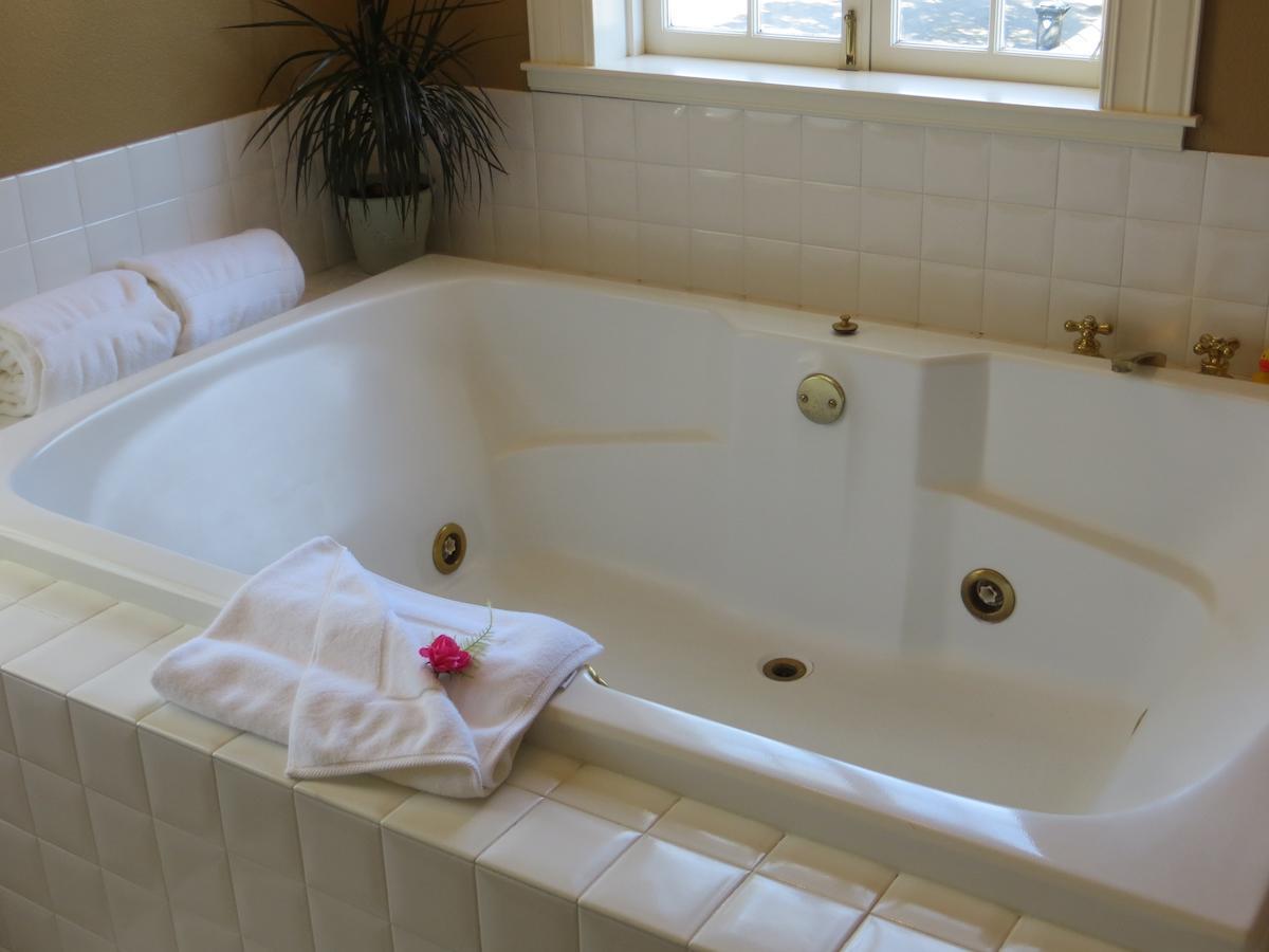 נאפה Arbor Guest House חדר תמונה