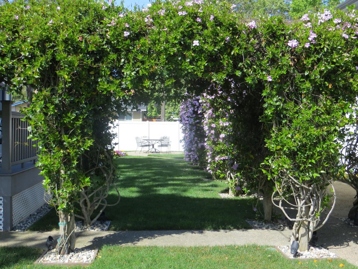 נאפה Arbor Guest House מראה חיצוני תמונה